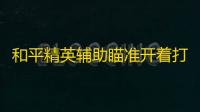 和平精英辅助瞄准开着打不到头